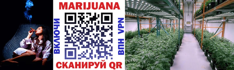 Бошки Шишки ГИДРОПОН Верхняя Салда